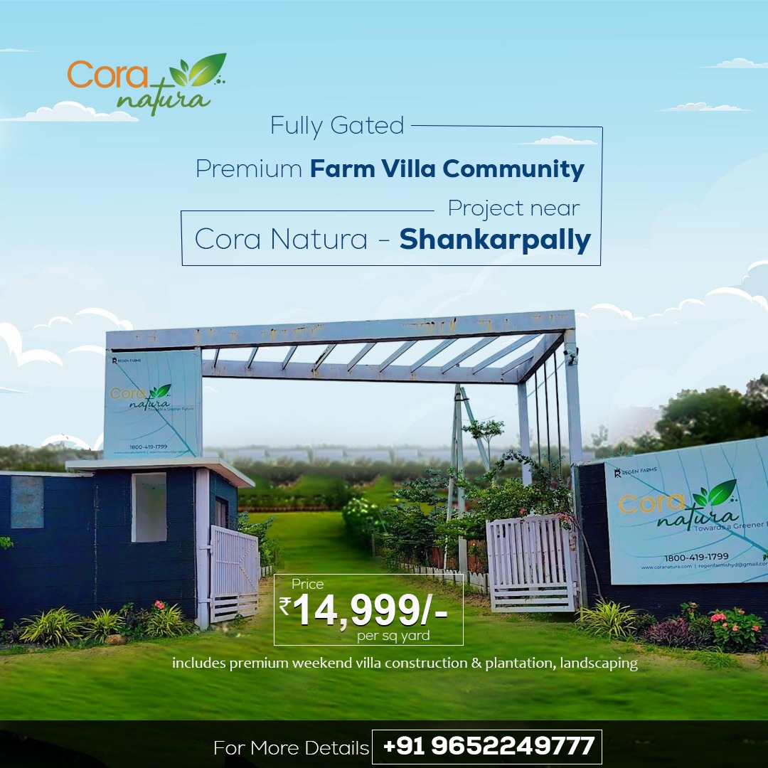 WhatsApp Image 2025-12-30 at 12.19.36 PM (1)